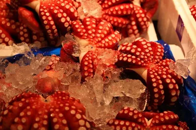 Short Arm Octopus Whole Round