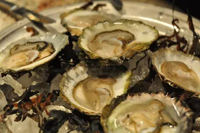 Oyster meat by Yantai Duobao Foodstuff Co., Ltd.