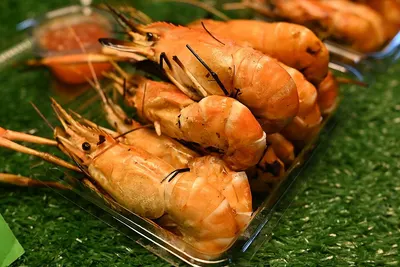 Giant River Prawn by Alga International