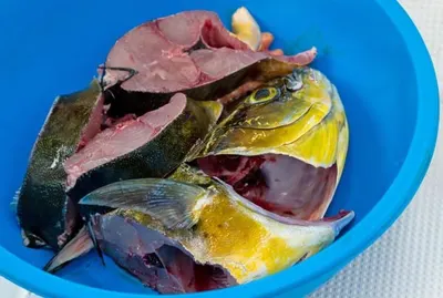 Yellowtail Fish by Jintatsu Foodstuff Co., Ltd.