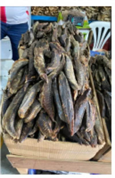 DRIED FISH SKIN - Image 2