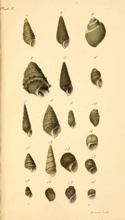 Specimen Collection