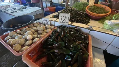 fresh Green Mussels by Pt Mitra Usaha