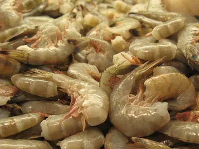 Vannamei Shrimps