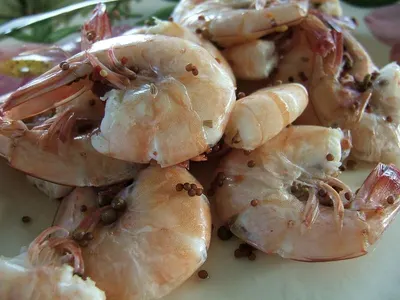 Ornamental Shrimp (Red Cherry) by Jr Farm Aquarium