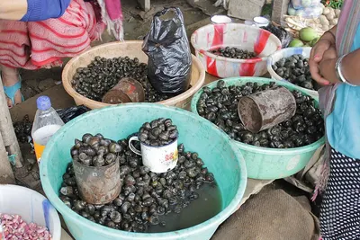 Coal Tar Oil