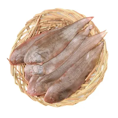 Sole Fish by Rugen Fisch AG