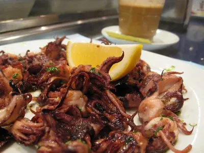 Squid Tube