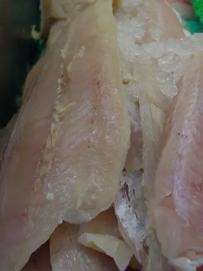 Tilapia fish G/S