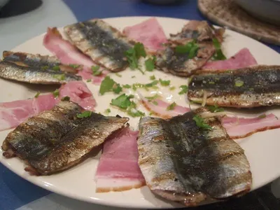 Yellow Fin Tuna Freeze