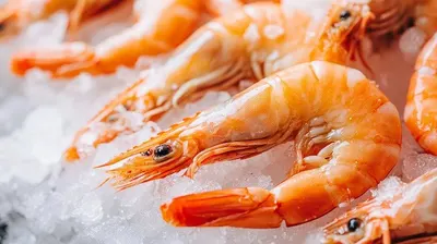 Shrimps