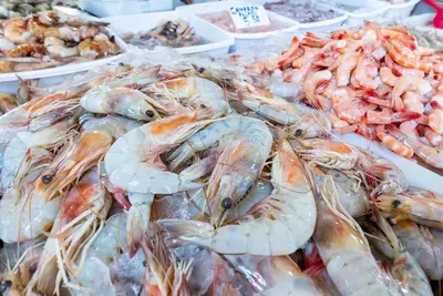 Fish prawns crabs by Diamond