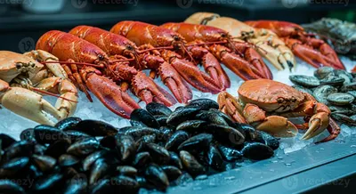 Fish, Crab & Lobster by PT. Laura Abadi Jaya