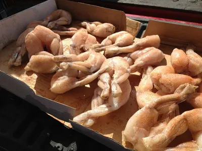 Frozen Frog Legs by Tanis Imex Co., Ltd.