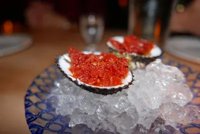 Blood clams (A. Tuberculosa)