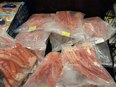 Red Grouper Fingerlings
