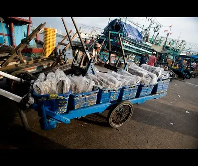 Fishing machine