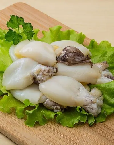 Cuttlefish
