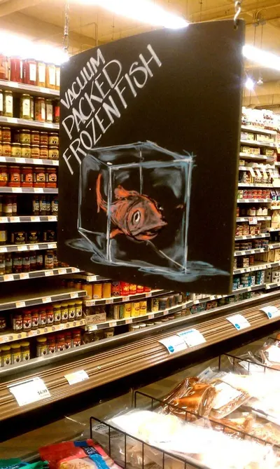 Frozen Fish