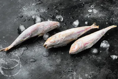 Fresh whole monkfish