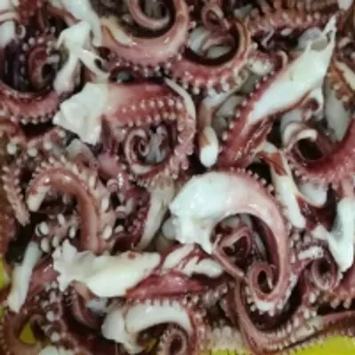 Frozen Cutting Baby Octopus