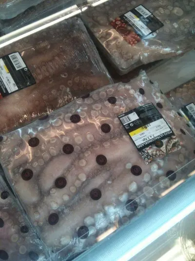 Frozen octopus