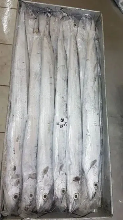 1 2 4 core outdoor ftth drop cable