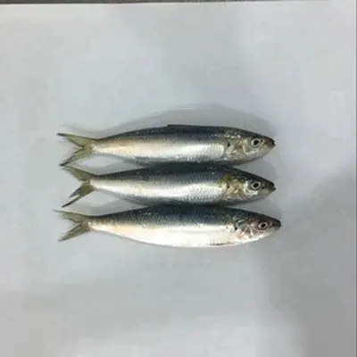 Top Quality Fish Oil Types Ands Capsule by Hwenan Baihuikang Bio-Technology Co.,Ltd.