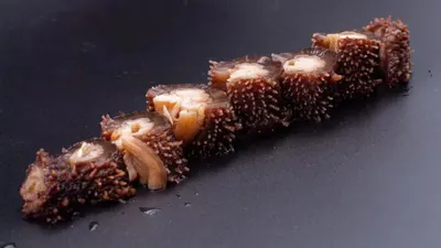 Royal Red Sea Urchin
