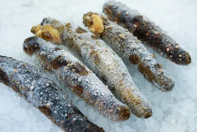 Frozen Roasted Eel