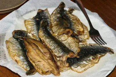 Frozen Seafood / Sea Products