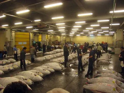 Frozen seafood by Fuzhou Woos International Co., Ltd