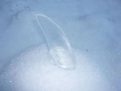 Snow grabbers