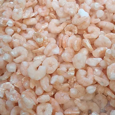 Frozen white shrimps