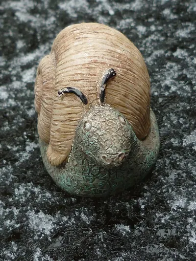 Caterpillar Fungus