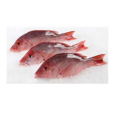 3pcs Small Beku (red) Toy