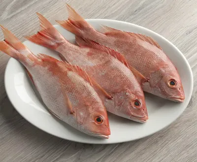 High Quality Frozen Whole/Fillet/Head Red Snapper and Yellowtail Snapper Fish  at a Great Price Premium Fish Product - Image 3