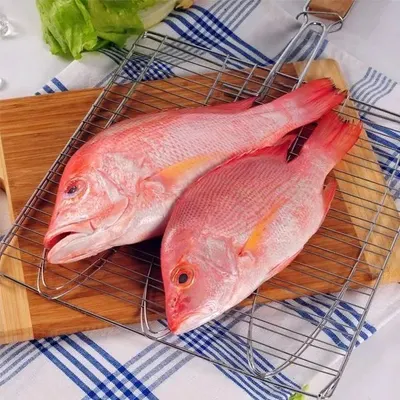 Red Pomfret