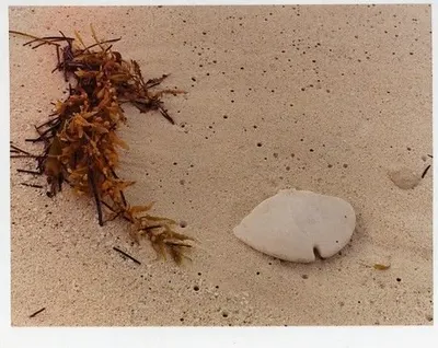 Reclamation sand