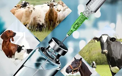 Doodh Vardhak - Milk Enhancer For Cattle