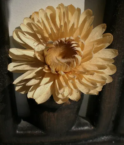 Bee wooden flower