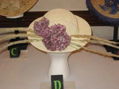 Straw Hat