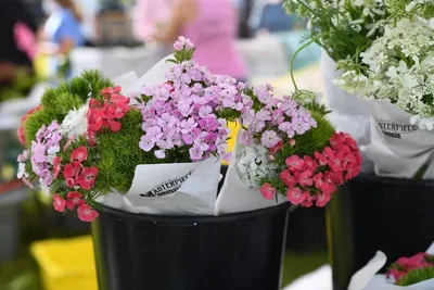 Flowers pots by A.M International