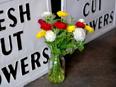 Fresh cut flowers-gerbera
