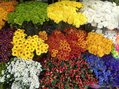 Fresh Flowers & Garlands
