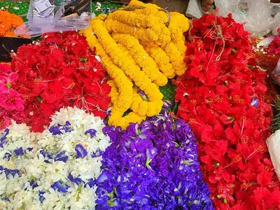 Fresh Flower