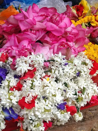 Every Kind Of Flower Package