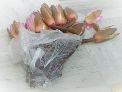 Lotus Soap