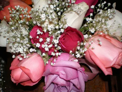 Roses