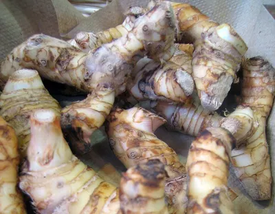 Kerispi Maruku (original)